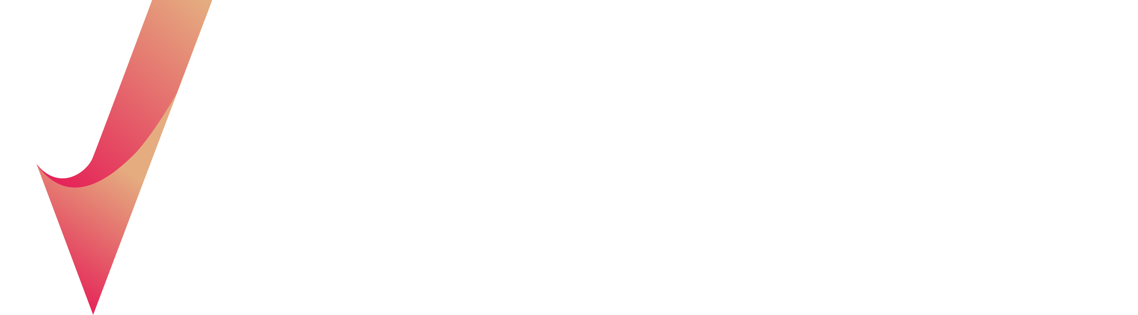 Voleergo logo